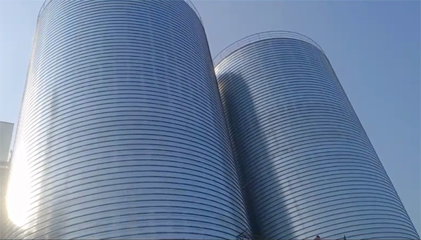 塔洋镇2座混凝土高架卷板仓